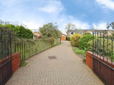 Picture 22